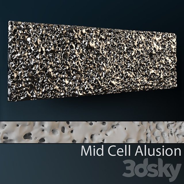 Mid Cell Wall