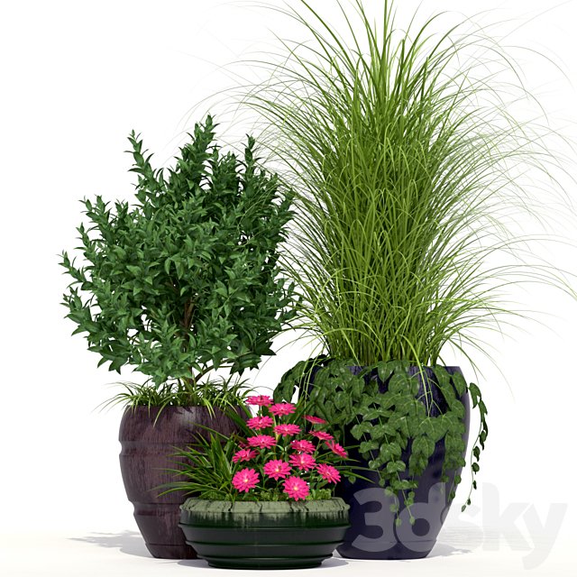 Outdoor Planters