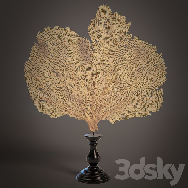 Coral