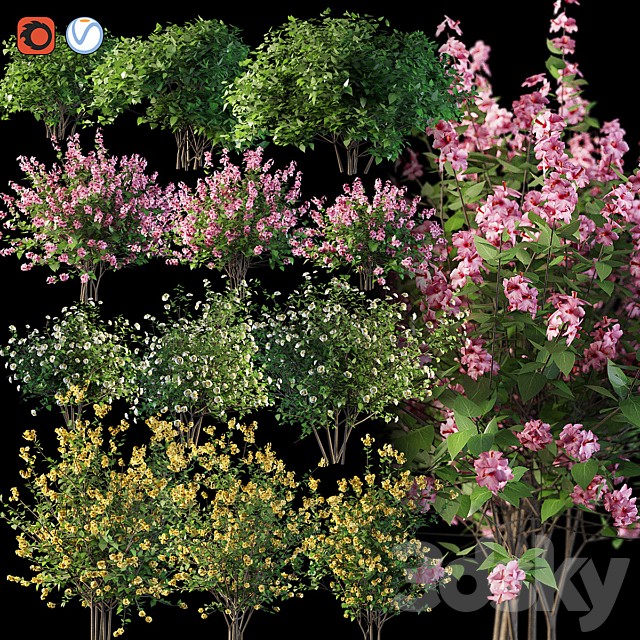 Set flowering shrubs 4