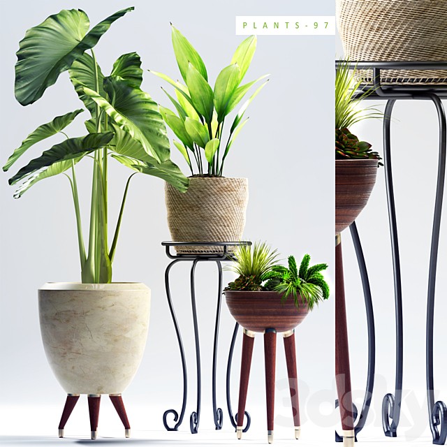 PLANTS 97