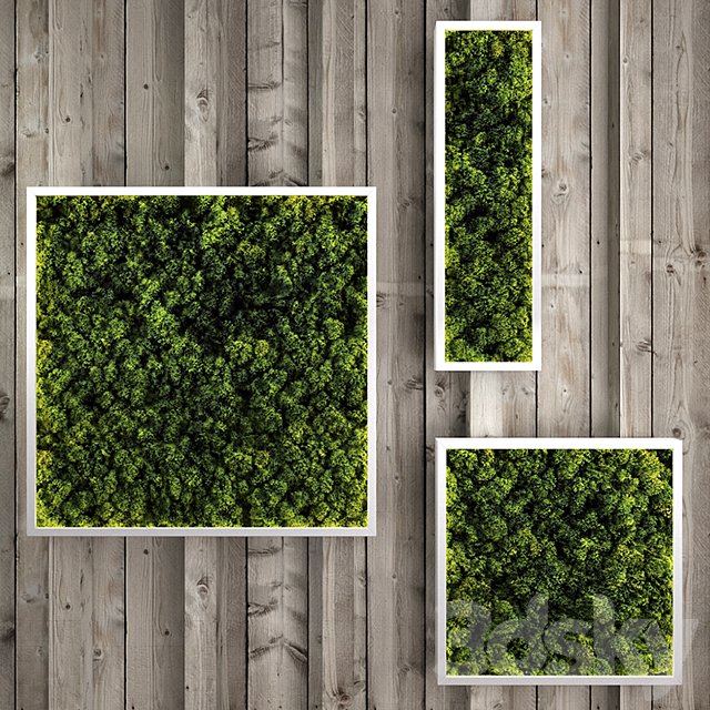 Moss modules