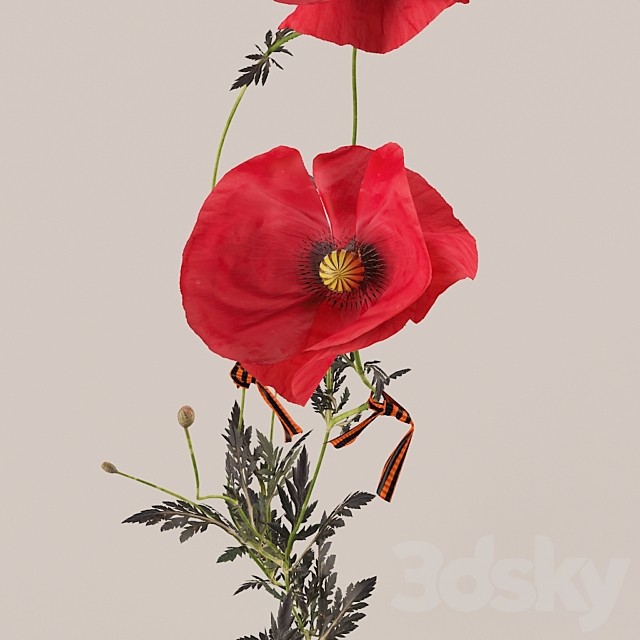 Poppies (Poppies)