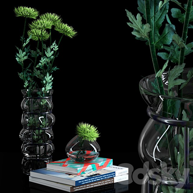 Green Spider Mom Asters Set