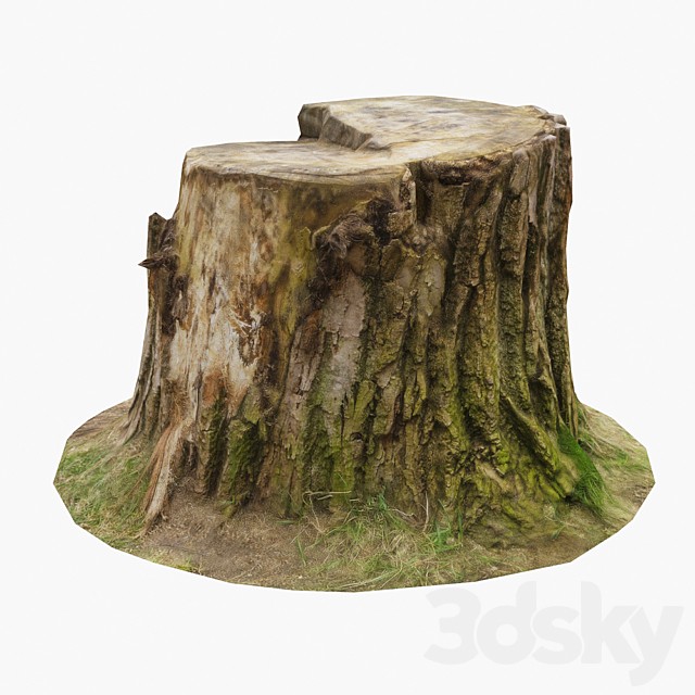 Stump