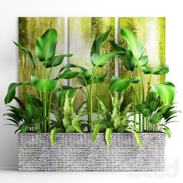 #Plants #Indoor