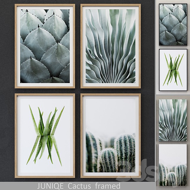 Cactus framed