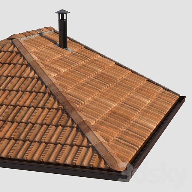 French tile roof