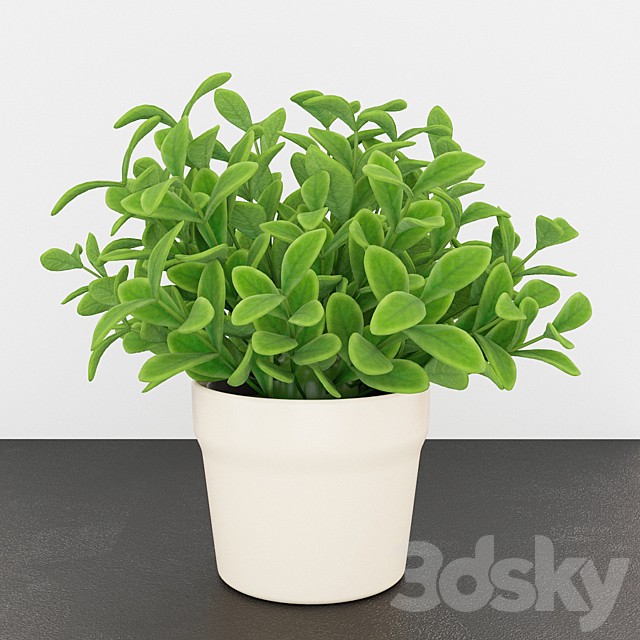 IKEA Fejka