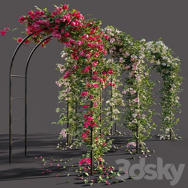 Arch with roses