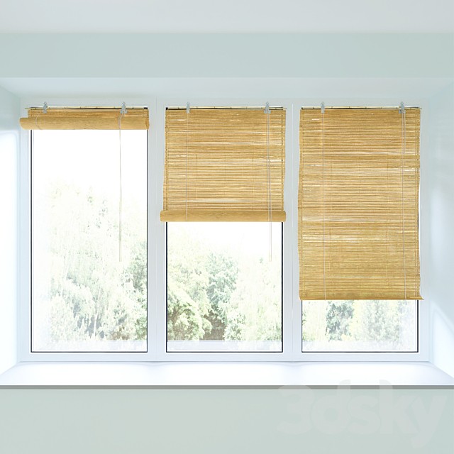 Bamboo roll blind and plastic window