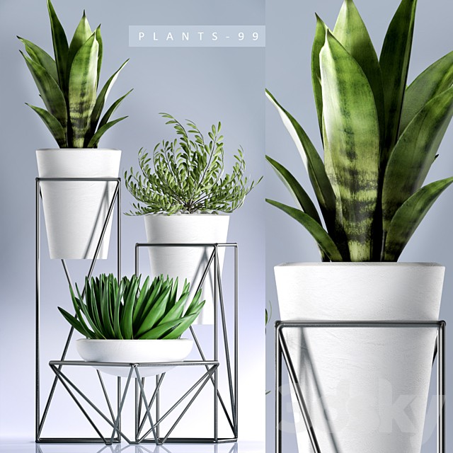 PLANTS 99