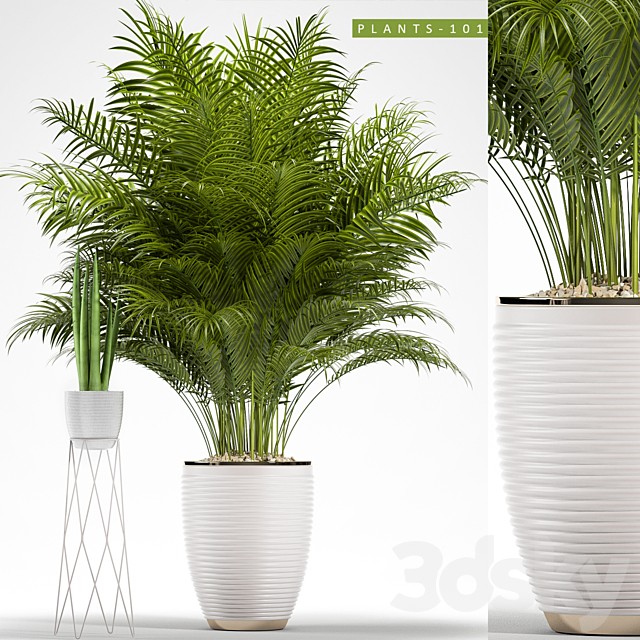 PLANTS 101