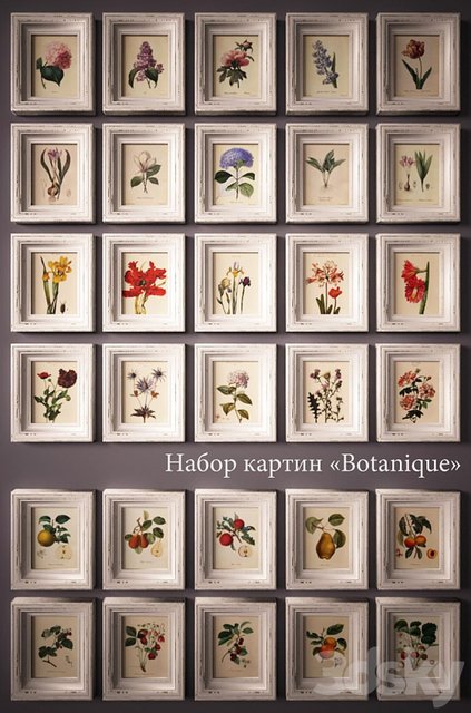 PROFI Paintings «Botanique»