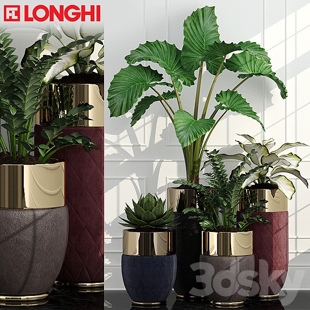 Longhi Godwin