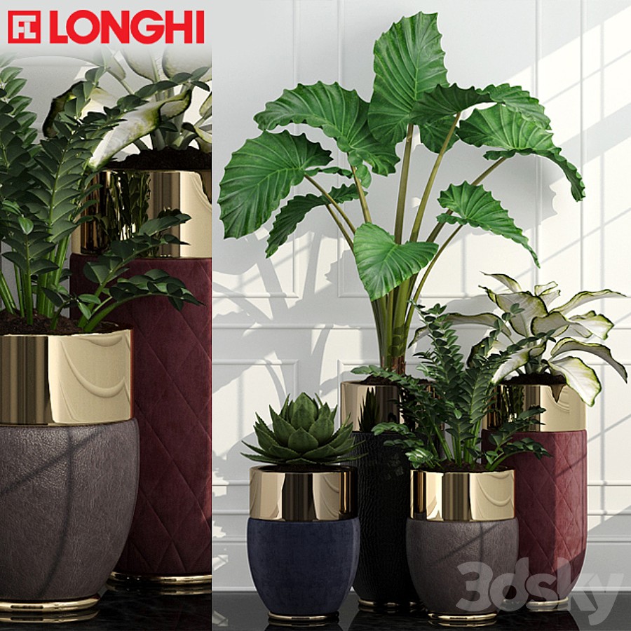 Longhi Godwin