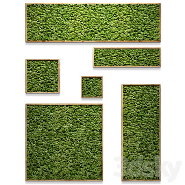 Framed moss