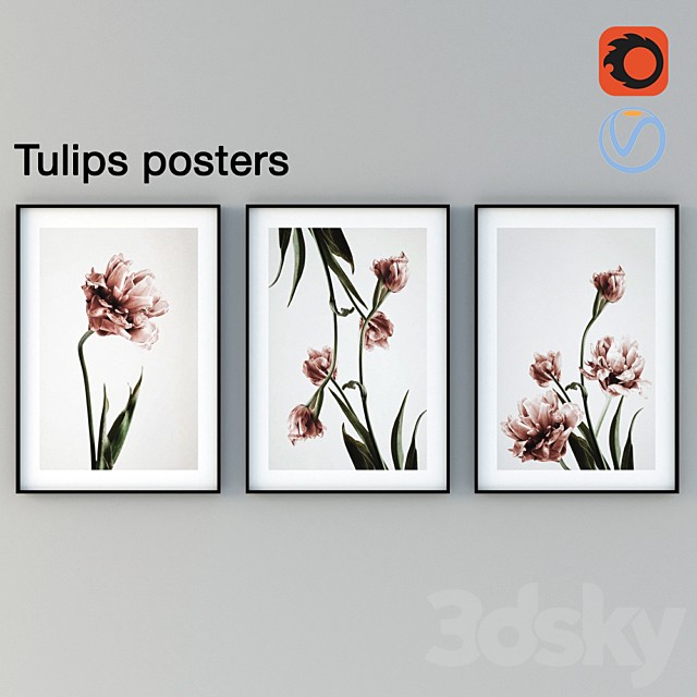 Tulips Posters