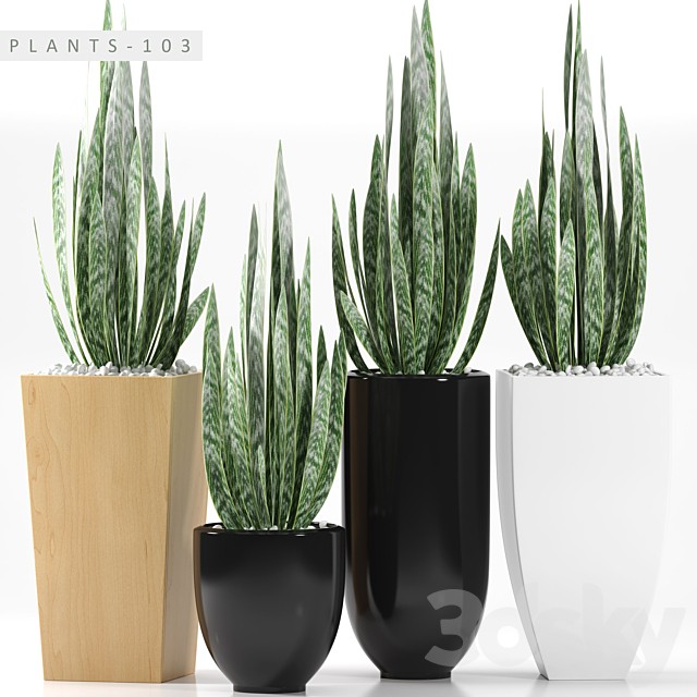 PLANTS 103