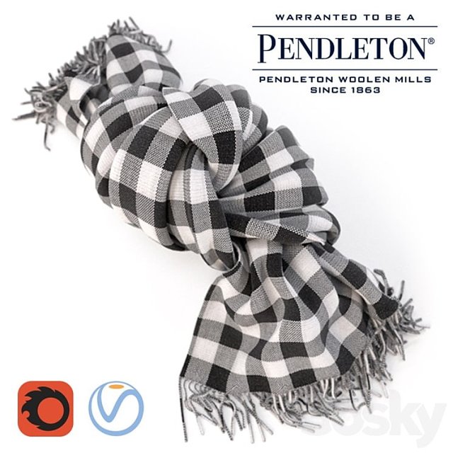 PENDLETON blanket