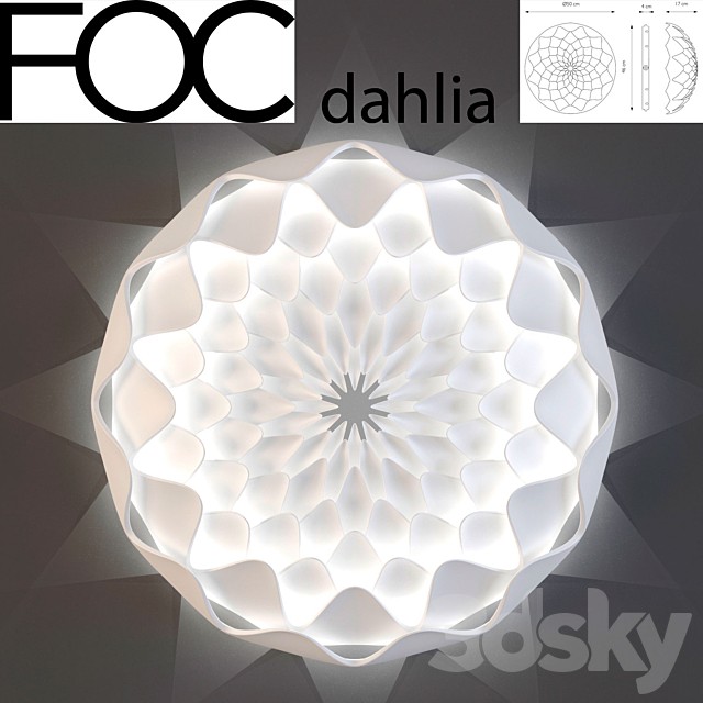 FOC Dahlia
