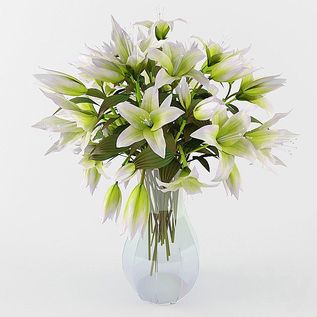 lily