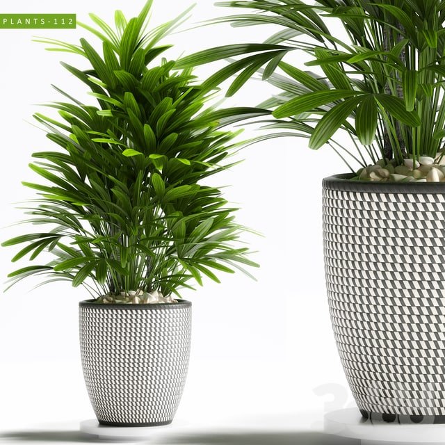 PLANTS 112