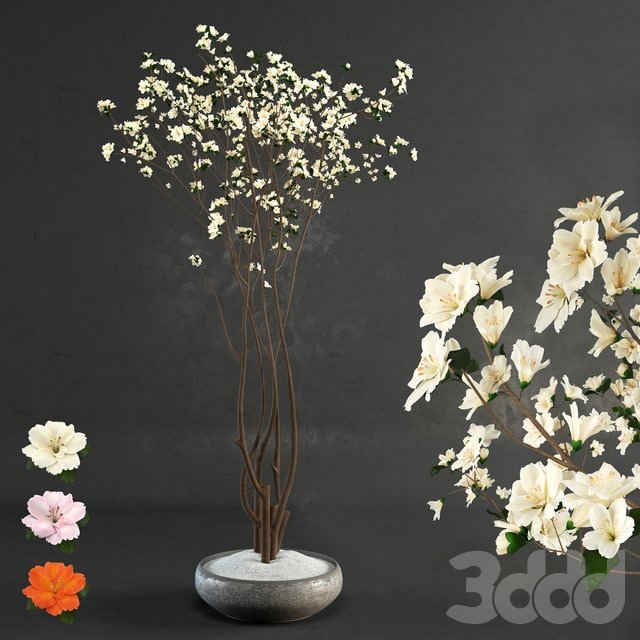 Decorative wood