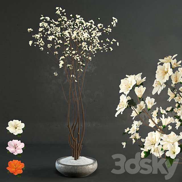 Decorative wood