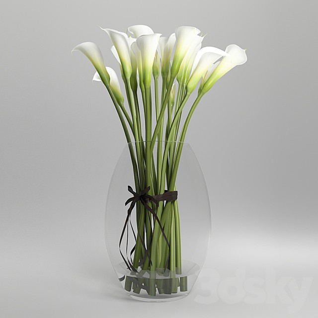 Callas