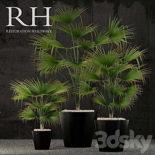 Restoration Hardware caldera planter