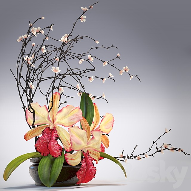 Arrangement of orchids