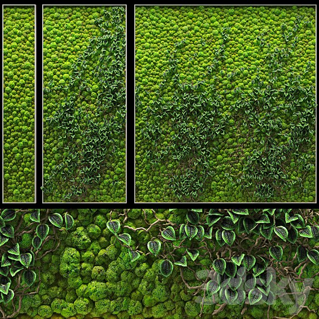 Fitowall