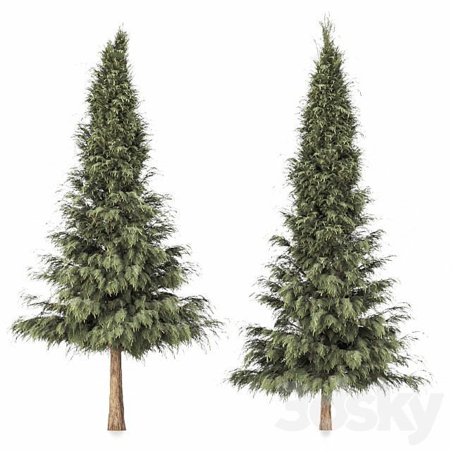 Tree set 01