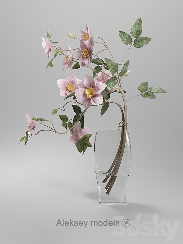 Vase Clematis Do.