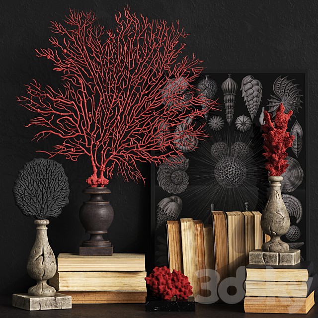 Coral Set 2