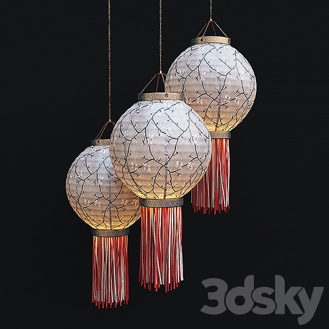 Chinese lantern Chinese lantern 2