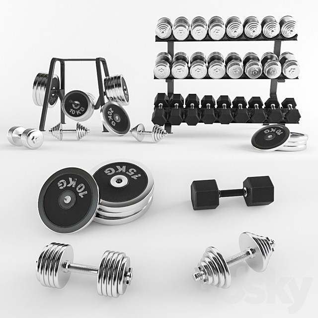 A set of sports dumbbells and pancakes on the racks.