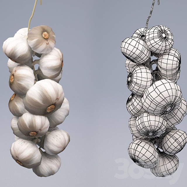 Garlic