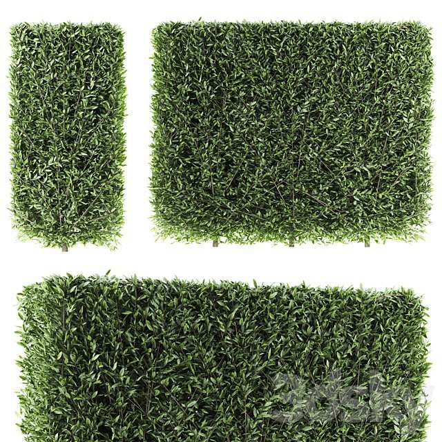 Bush Set 02