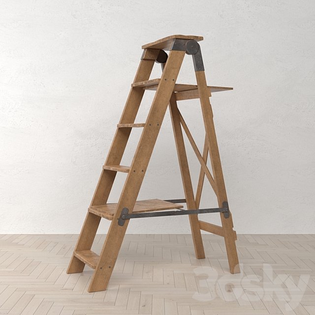 Old Ladder