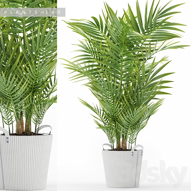 PLANTS 149