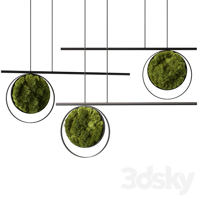 Hanging Plant With Moss Set.199