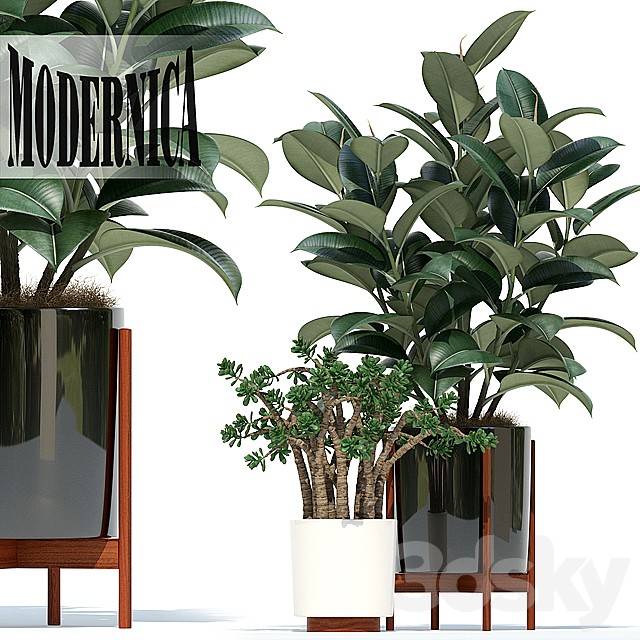 Plants collection 72 Modernica pots