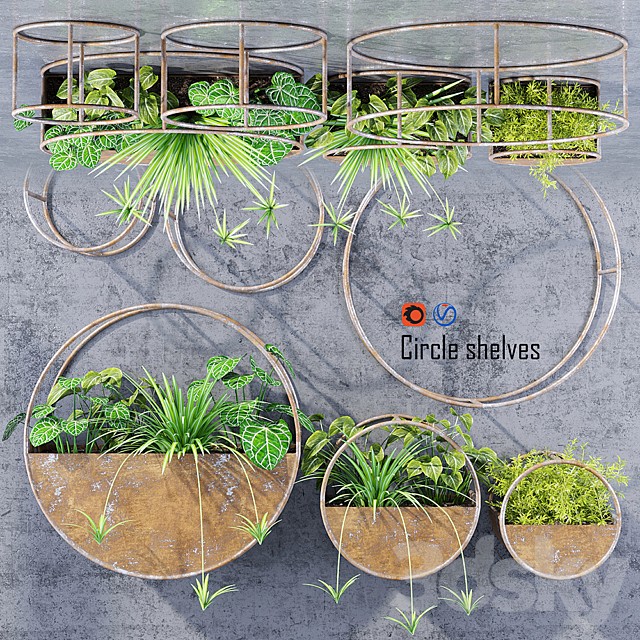 Circle shelves