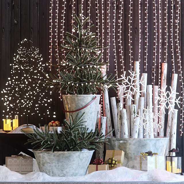 Christmas decor: Entrance group 1