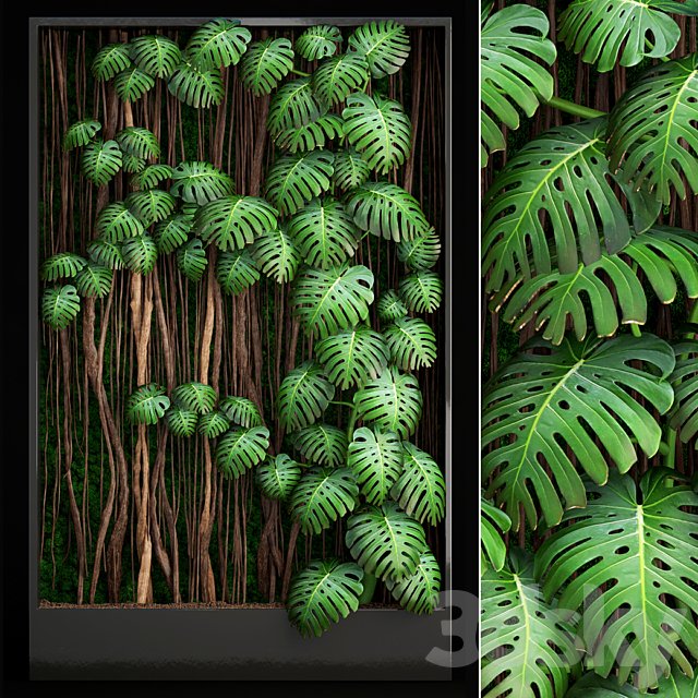 Vertical garden 9. Monstera, phytowall, phytomodule, eco design, vertical garden, decorative