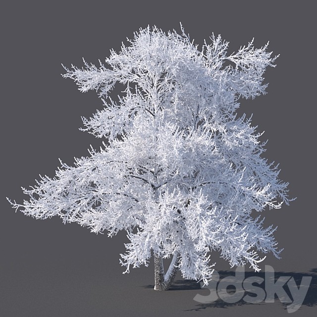 Winter tree (6 meters)