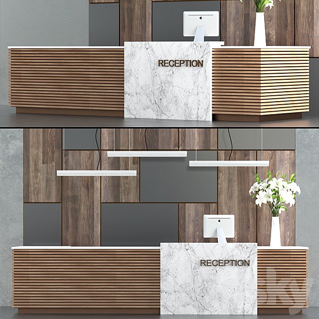 Reception 7