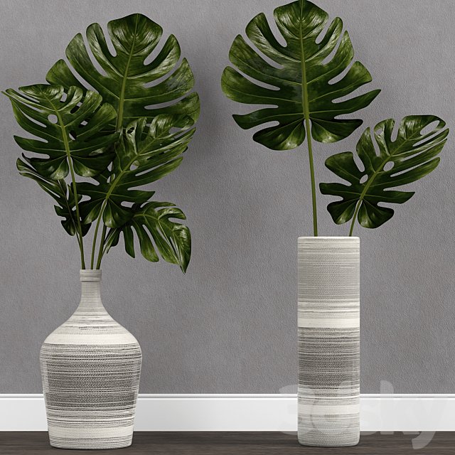 Monstera leaf in vase